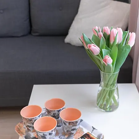 Kalamehe Modern 1 Near Center Lägenhet *