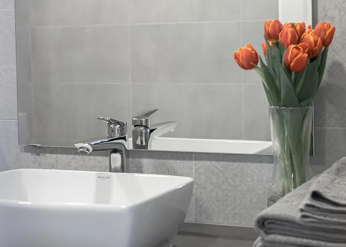 Kalamehe Modern 1 Near Center Пярну